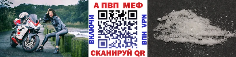 Альфа ПВП СК КРИС  Геленджик 