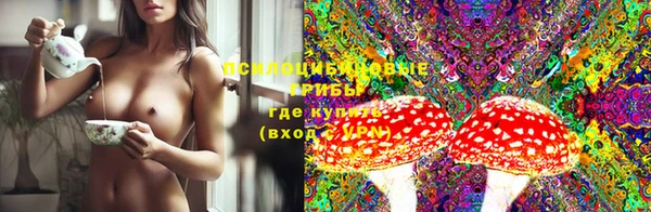 эйфоретик Приозерск