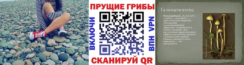 гидра ТОР  Геленджик  Псилоцибиновые грибы Cubensis 